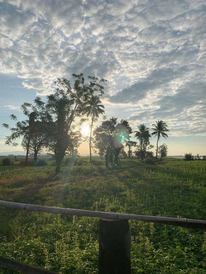 Vera Sunset Homestay Local Experience With Lao Family Muang Không Buitenkant foto